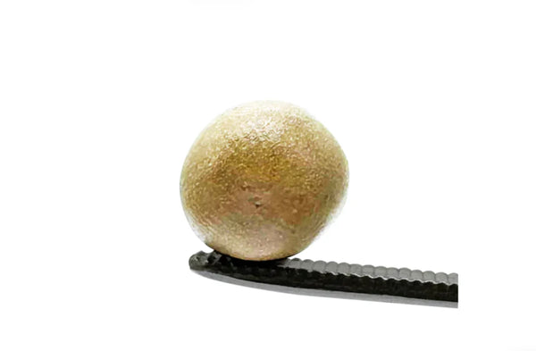 Piatella Hash - Cereal Milk