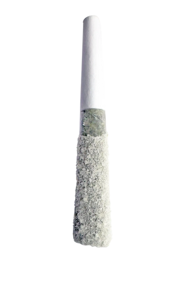 Caviar Pre-Rolls - Mimosa